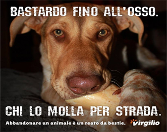 Libero and Virgilio: on social networks against animal cruelty