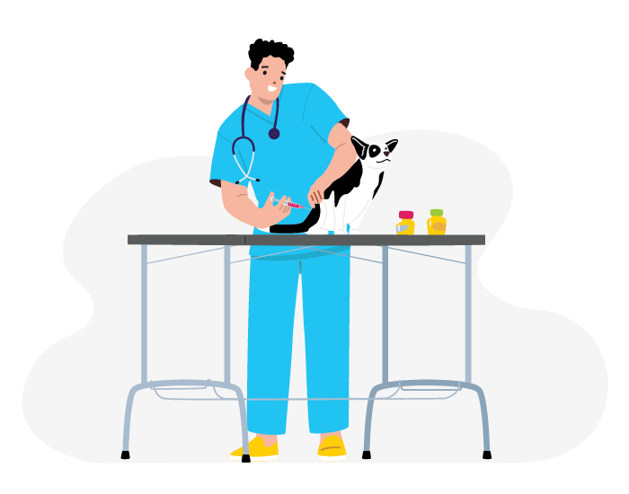 Immagine promozionale della consulenza digitale